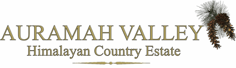 auramah-valley-logo